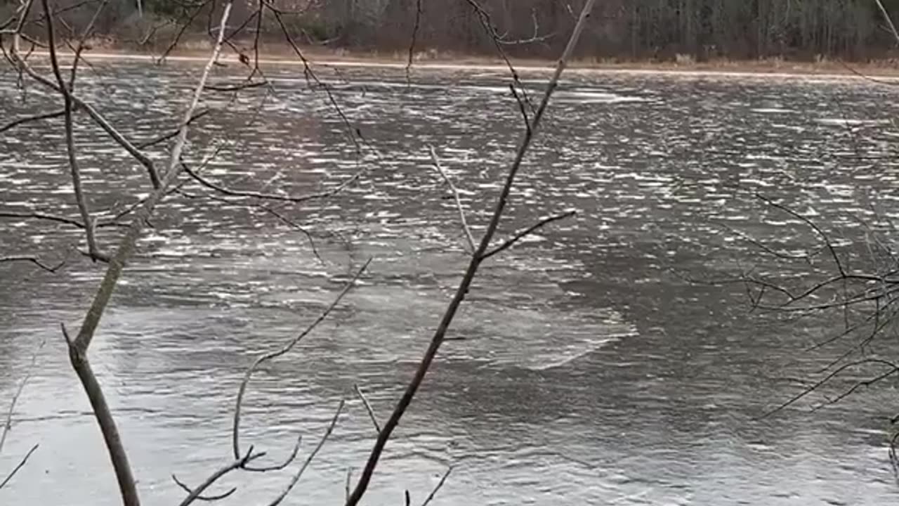 🌲👻 Strange Entity Recorded on Hiking Trail in Minnesota | TheHauntingHour