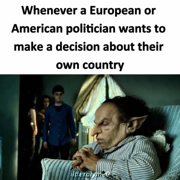 When a European or American Politician Wants to Make a Decision About Their Own Country