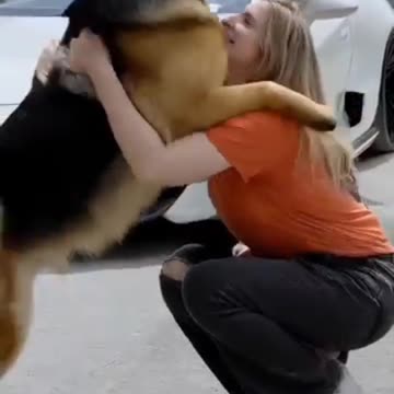 Cute Dog Giving Signals To Humans🤔