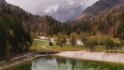 Daily Horoscope | Capricorn 🌟