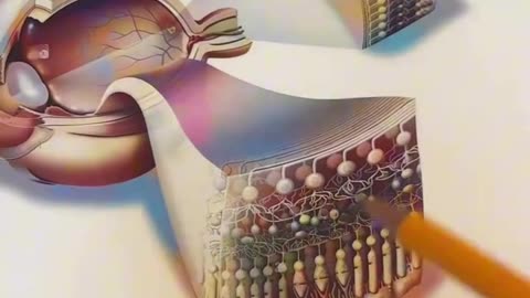 If You Don't Think God Exists, WATCH THIS