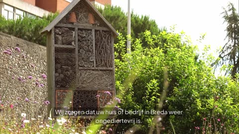 🦠 Ongediertebestrijding Breda – Uw Betrouwbare Partner in Ongediertebestrijding! 🦠