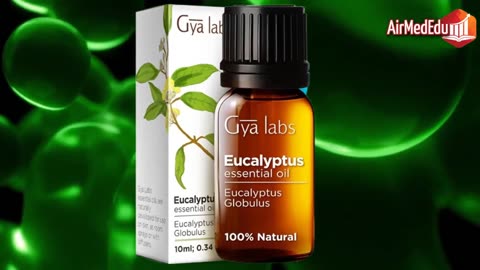 Huile essentielle d'eucalyptus un allié naturel pour la santé des adultes