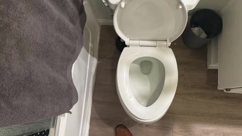 Before and After Affordable Bathroom Remodel