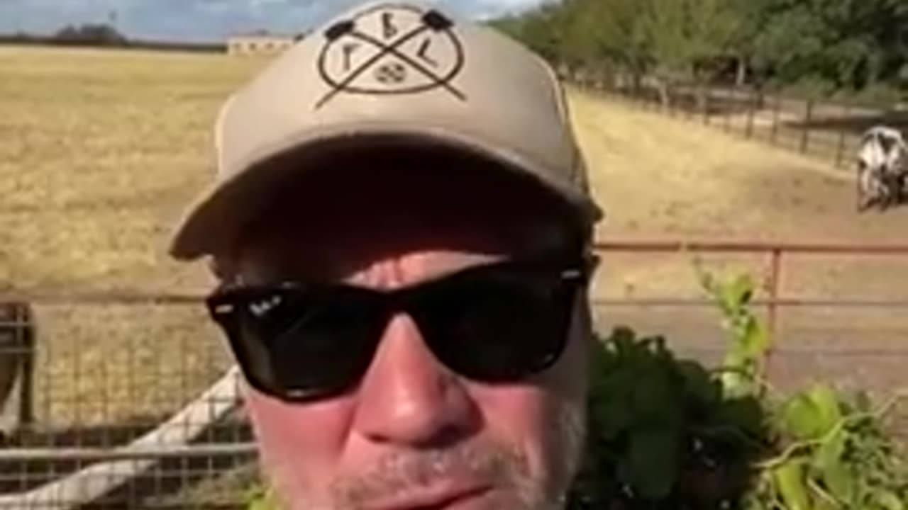 Spraying us like bugs