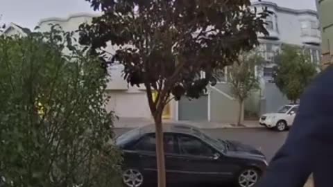 BREAKING NEWS IN SAN FRANCISCO 👀