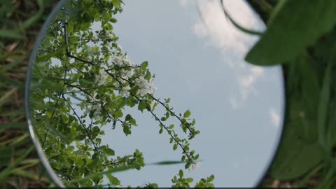 Daily Horoscope | Taurus 🌟