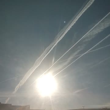 FUQINTAH - Part 3 - NWO days in Phoenix AZ - More Bird Chatter fur Alice -