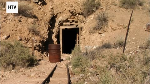 Hidden Cameras Capture Wild Encounters