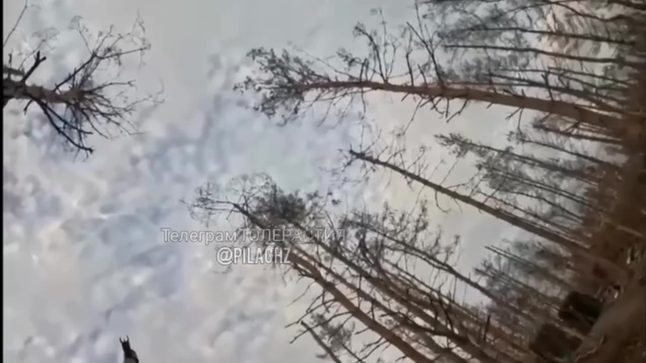 Our soldiers are fighting off a raid by Xox drones.