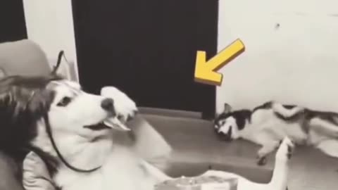 😱👻 So This Happened? Ghostly Figure in the Background | TheHauntingHour