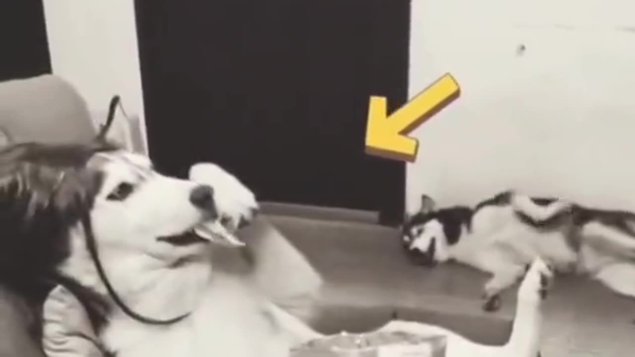 😱👻 So This Happened? Ghostly Figure in the Background | TheHauntingHour