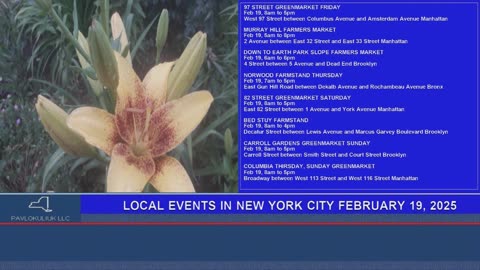 Local Events in New York February 19, 2025