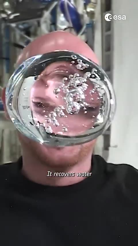 Can cockroaches help astronauts in their long space missions? 🪳