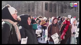 TWO CATS U.S. POLITICAL NEWS