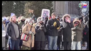 TWO CATS U.S. POLITICAL NEWS