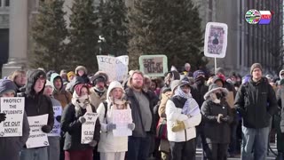 TWO CATS U.S. POLITICAL NEWS