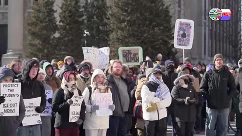 TWO CATS U.S. POLITICAL NEWS