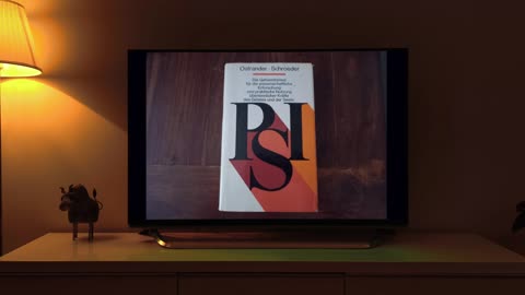 PSI - Die Geheimformel ｜ Kapitel 02 #CDU