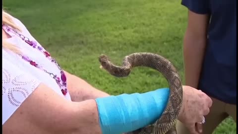 Texas Woman Attacked by a Snake and Hawk at the Same Time