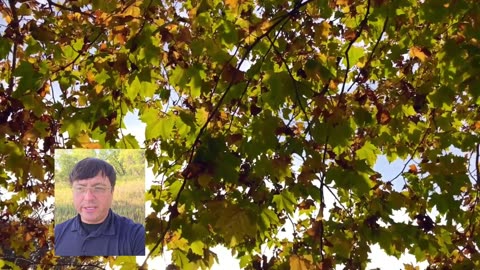 Changing Self | Contending Daily