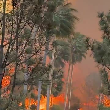 Firefighters Scramble to Corral Fast-Moving Wildfire in Pacific Palisades