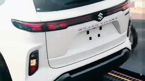 Unbelievable Suzuki Unload! Enclosed Car Shipping Done Right! 🚛