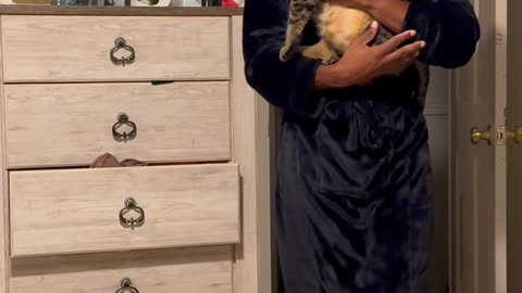 Kitten No Longer Fits In Dad's Pocket