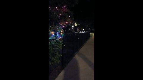Video 19