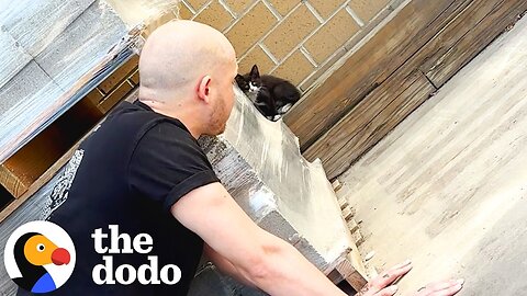 Couple Goes To Lowes And Come Home Hours Later With A Kitten | The Dodo