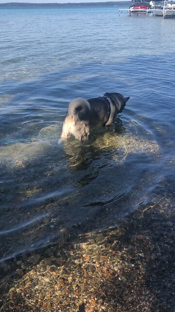 Saturday September 27, There is a special rest still waiting for the people of God.