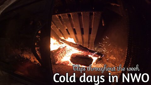 Cold Days in NWO | Clips throughout the week