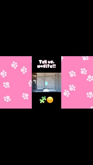 Nagito Discovers EVERYTHING… and Tells Us NOTHING