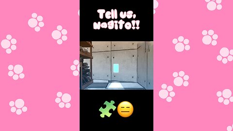 Nagito Discovers EVERYTHING… and Tells Us NOTHING