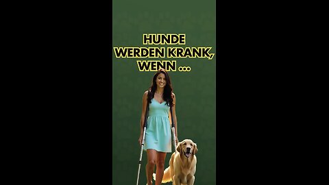 Hunde werden krank, wenn ...