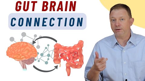 What's Hiding in Your Gut That's Affecting Your Brain?