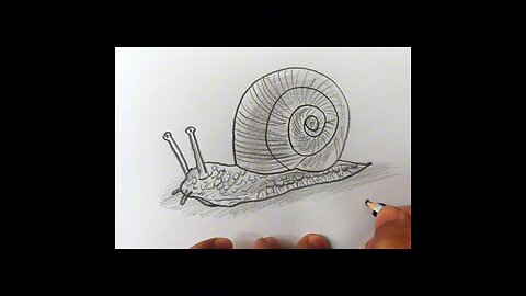 how to draw a snail