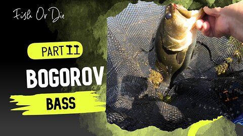 Бас на Богоров - Bass at Bogorov part 2