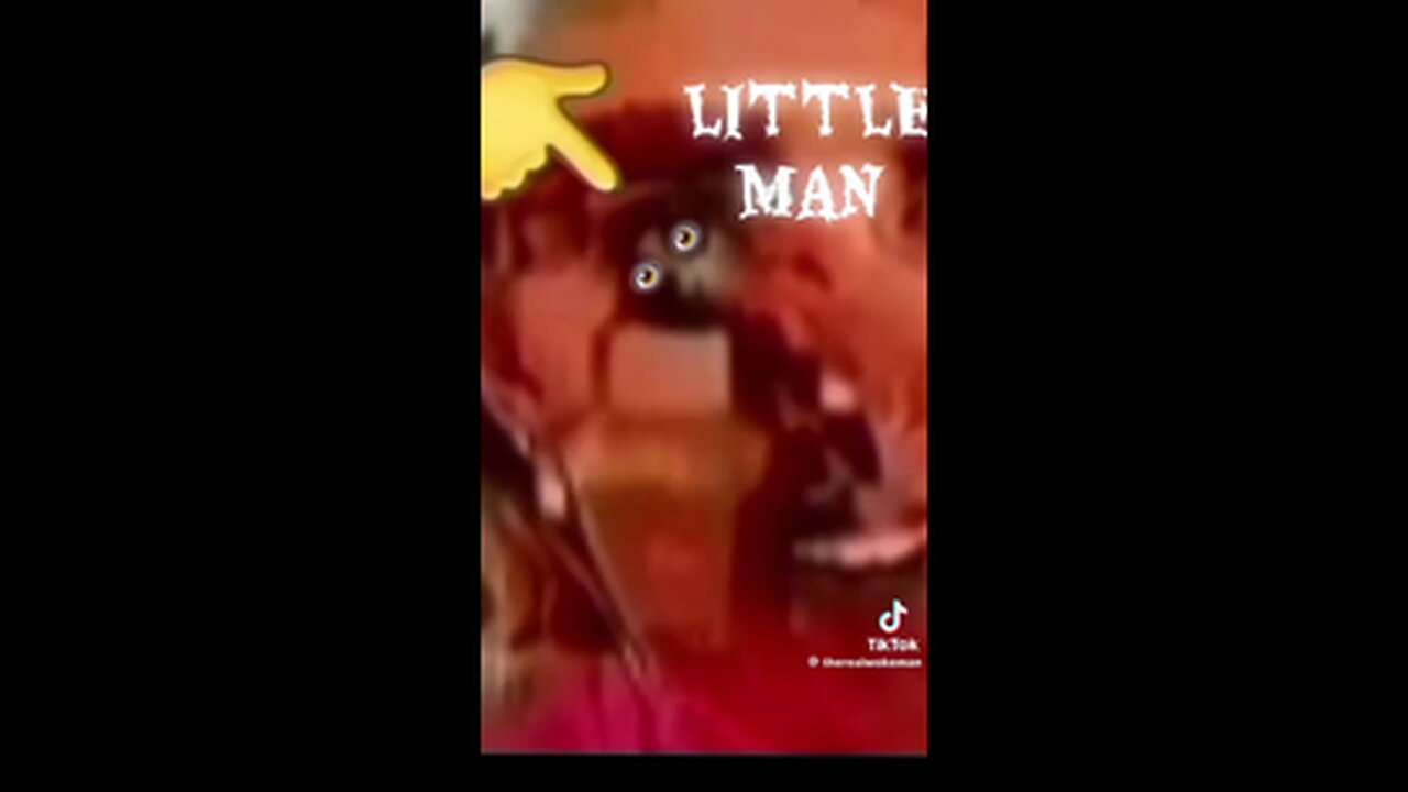 HOW MANY REPTILIAN 🐍 SHAPESHIFTERS WALK AMONG US⁉️