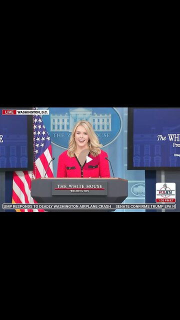 Affirmative Action Plane Crash