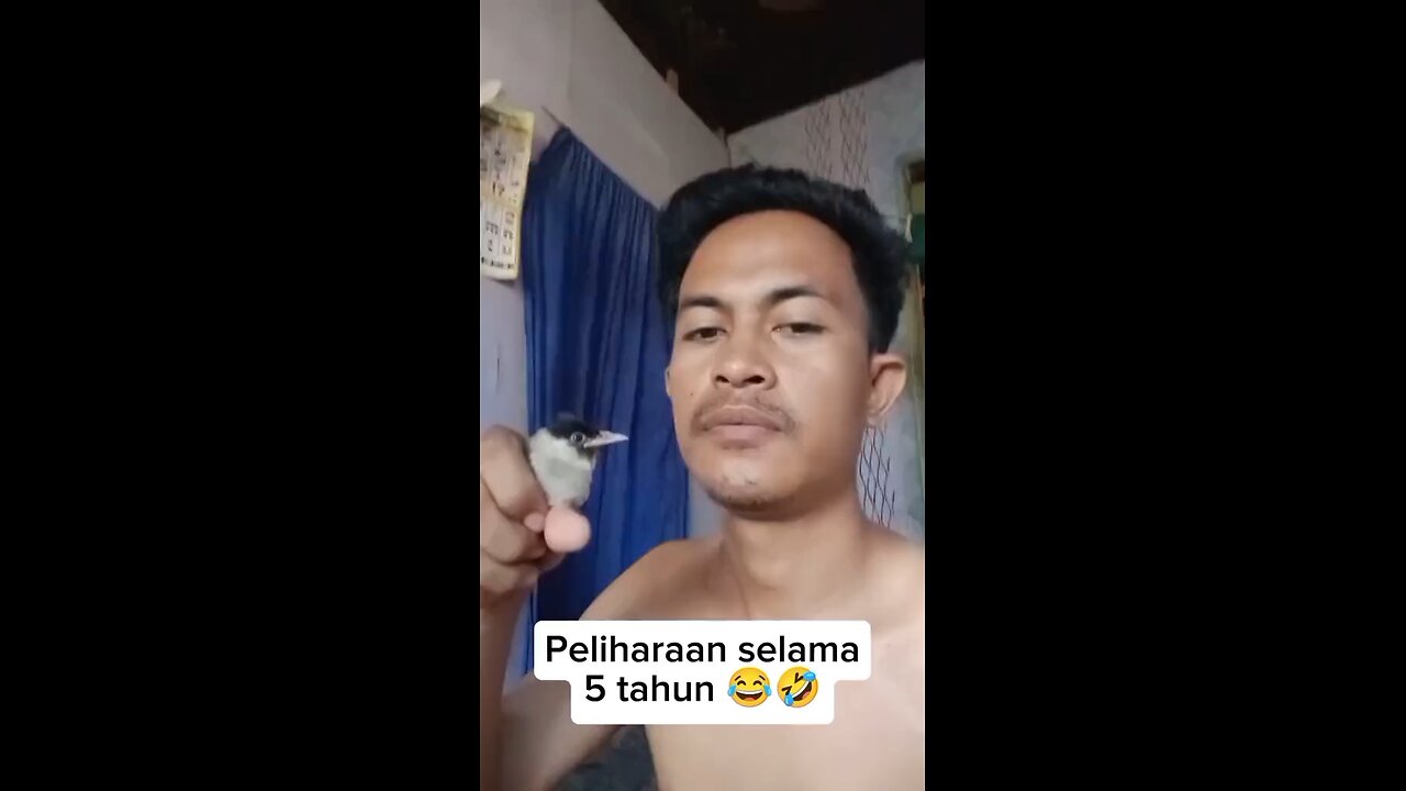 Funny Fail: Trying to Tame a Sparrow 🐦😂