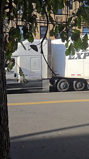 Rough day for truck drivers 🫣