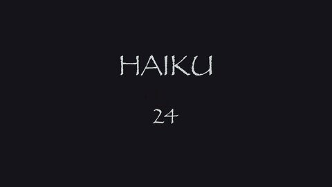 HAIKU 24