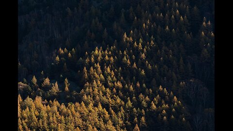 Orange Sky LoFi | Dreamy Sunset Vibes for Study & Chill