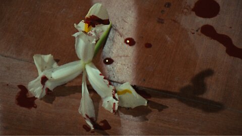 The Case of the Bloody Iris-Edwige Fenech, George Hilton-1972 IMDb 6.4/10