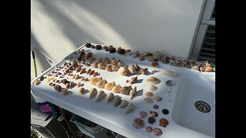 Beach Finds 1/17/2026 | 4K