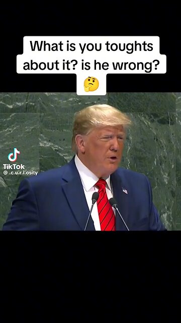 The Truth Is Plain To See 2024