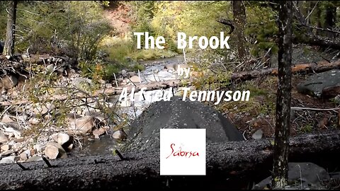 The Brook by Alfred Tennyson