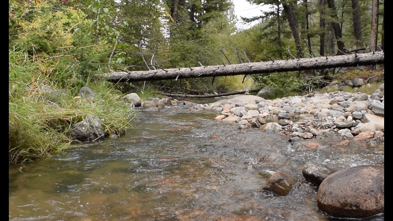 The Brook by Alfred Tennyson