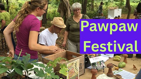 2016 Long Creek PawPaw Festival